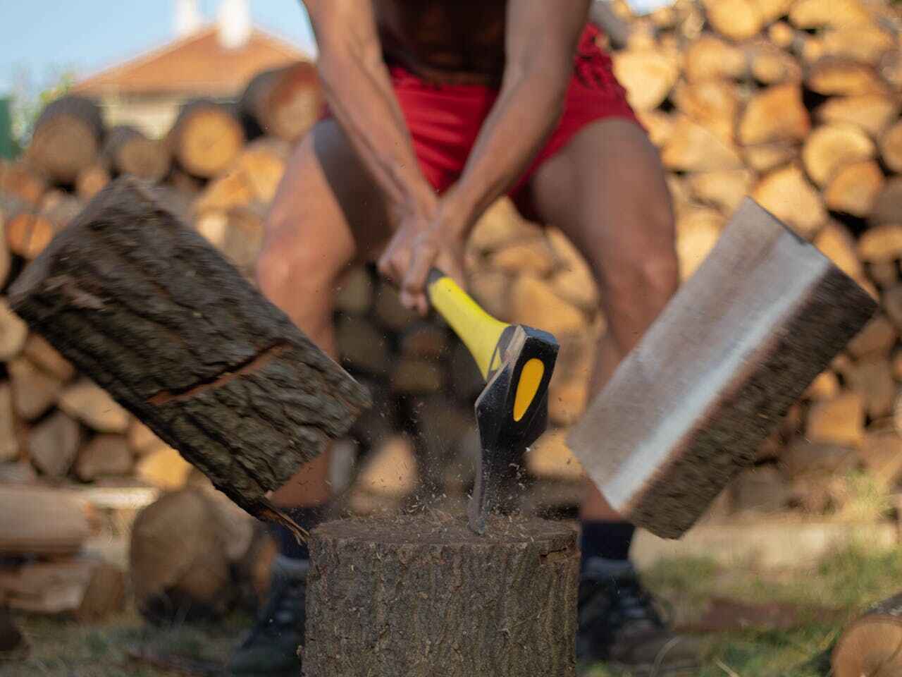 Best Tree Branch Trimming  in USA